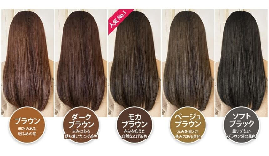 LPLP ヘアカラートリートメント アッシュブラウン2個 - カラーリング ...