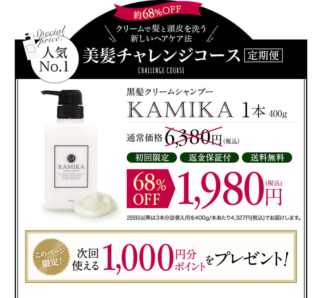 カテゴリ KAMIKA カミカシャンプーの通販 by Y's shop｜ラクマ スタイリン - pccssf.com